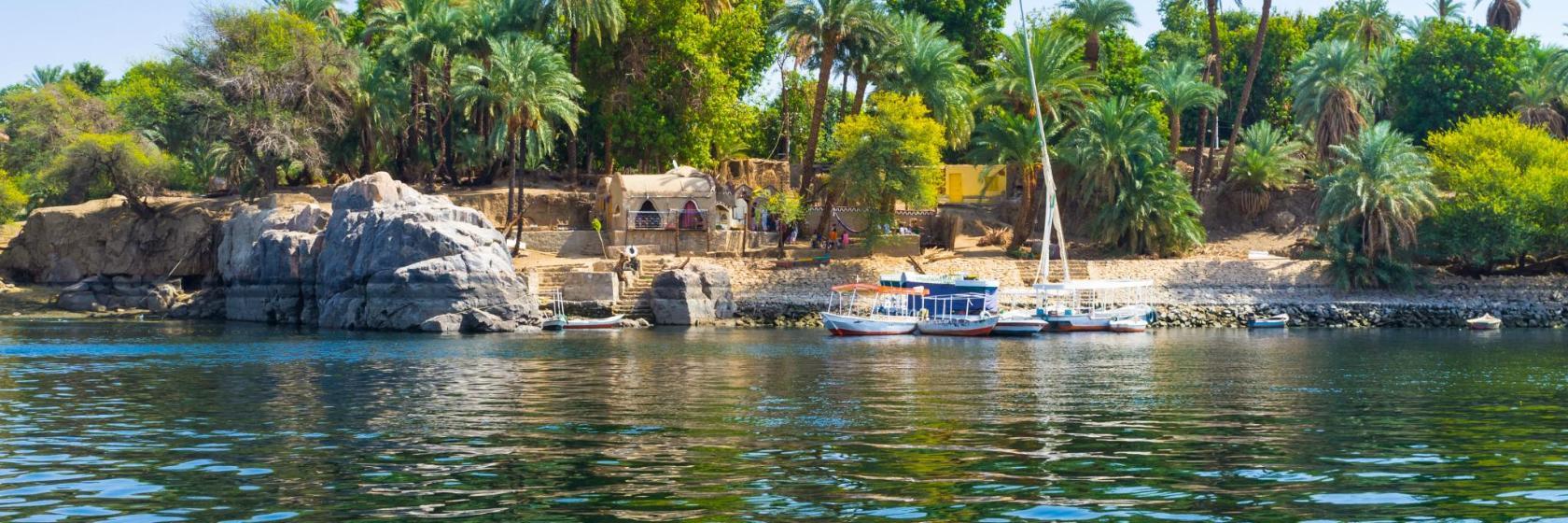 Aswan Botanical Garden